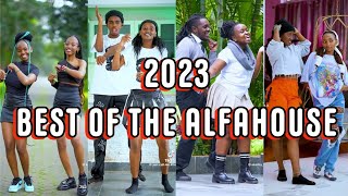 2023 The AlfaHouse  Tiktok Dance Challenge Compilation #theealfahouse #nasieku #klaus