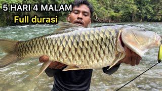 5 DAYS 4 NIGHTS //Full Camping and Hunting for Monster Fish in the Remote River Headwaters, ADVEN...