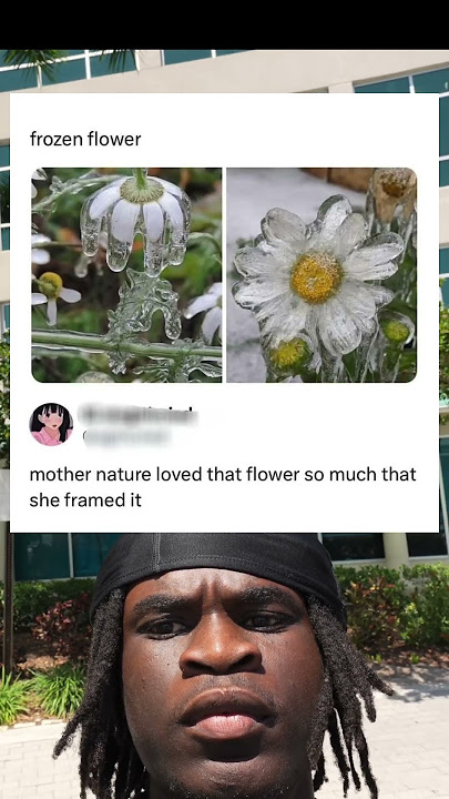 frozen flower