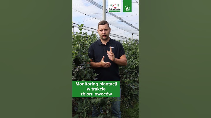 Jak monitorować plantację borówki 🫐 w trakcie zbioru owoców - zobacz komunikat #borówka #shorts