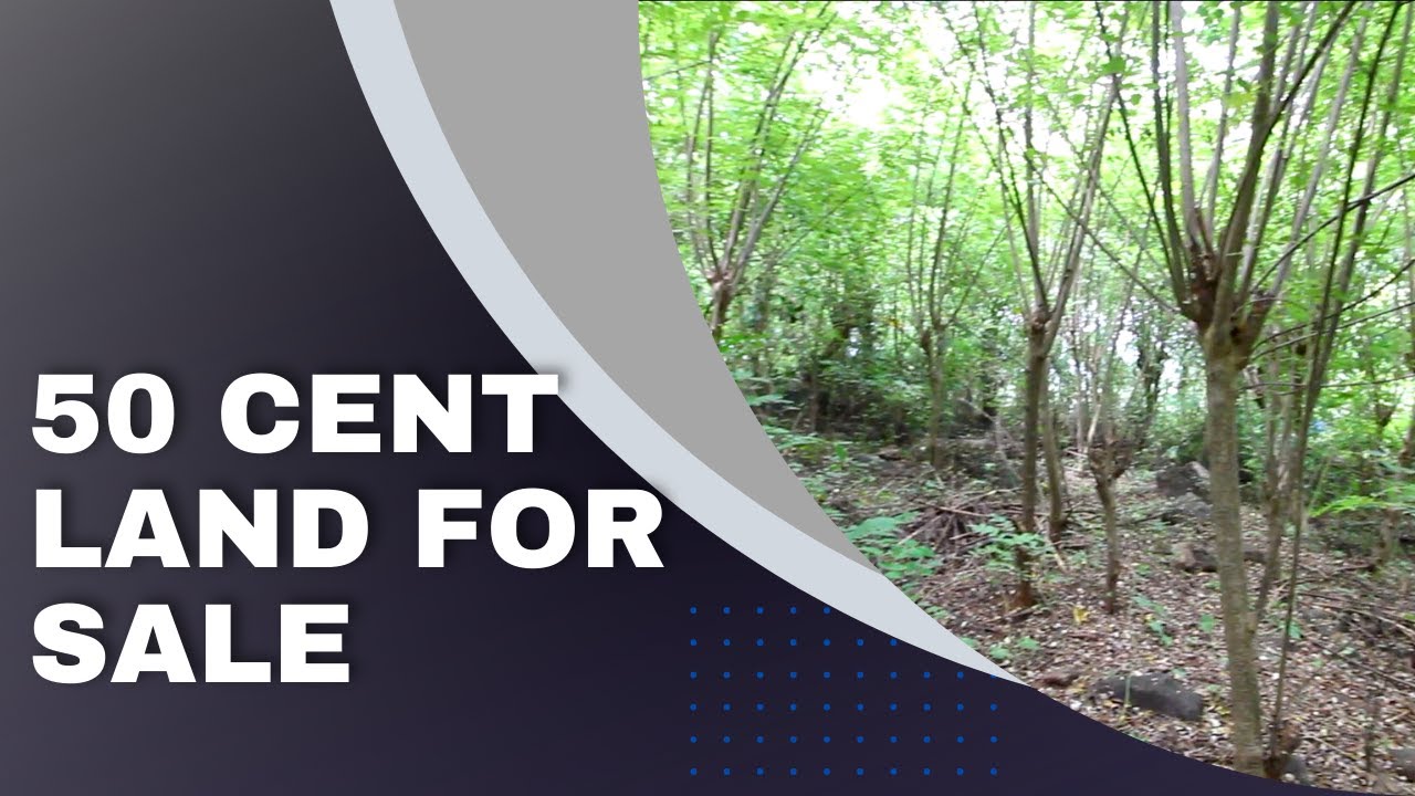 LAND FOR SALE IN THRISSUR COMMERCIAL LAND IN THRISSUR JOY TCR 30 8 23