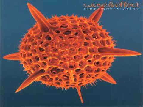 Cause & Effect — CAUSE & EFFECT GENERATION