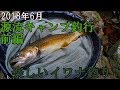 2018年6月源流キャンプ釣行「楽しいイワナ釣り編」