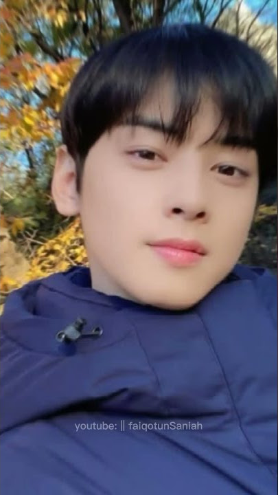 Ccp Cha Eun-woo😚😍||eunwoo-ASTRO♥️||story WhatsApp ✓✓ #Eunwoo #ASTRO #story