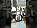どうしたら、日本の農業は盛り上がると思いますか?#トマト #熊本 #農家 #shorts