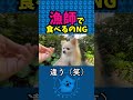 許可の合図は「よし」であって「漁師」ではないよ