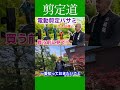 《一番知るべきこと》電動剪定鋏マキタ互換とは大きな違い #剪定方法 #庭作業 #庭木の管理 #剪定鋏 #道具選び #電動剪定鋏 #作業効率