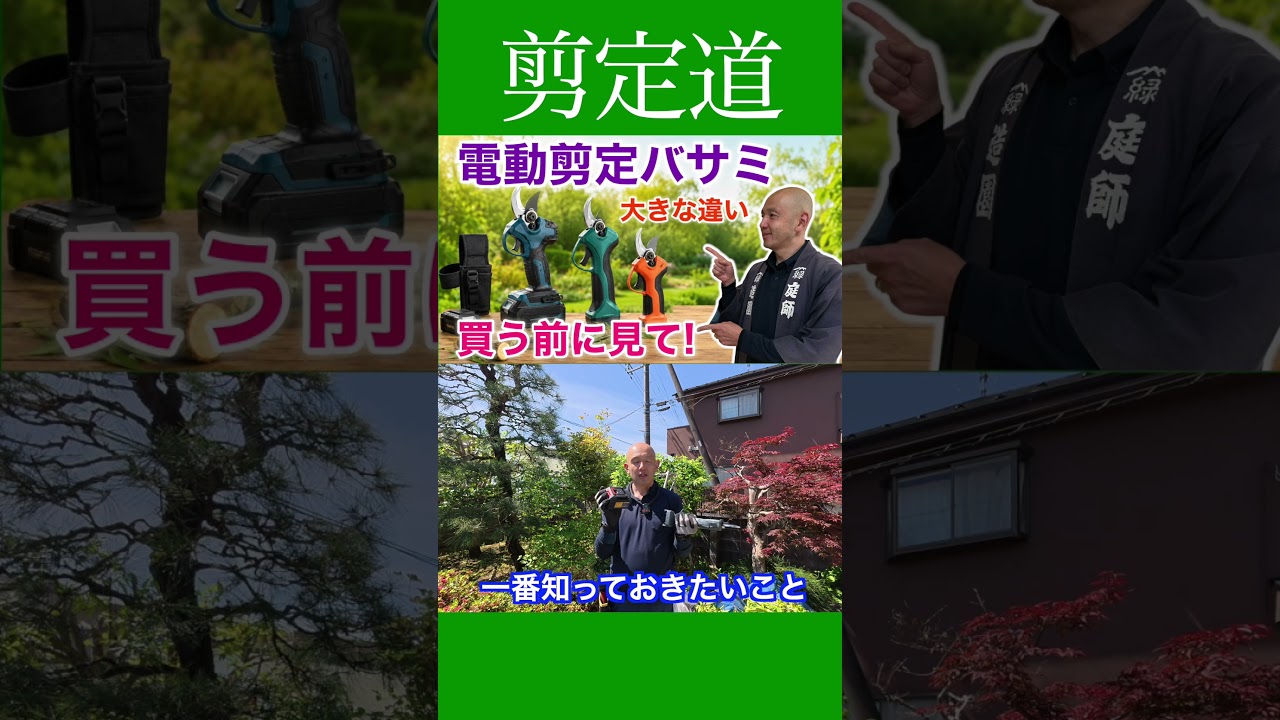 《一番知るべきこと》電動剪定鋏マキタ互換とは大きな違い #剪定方法 #庭作業 #庭木の管理 #剪定鋏 #道具選び #電動剪定鋏 #作業効率