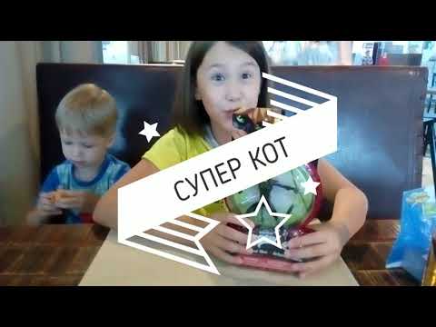 Оригинальная мини фигурка Супер КОТ! Магазин и Распаковка.