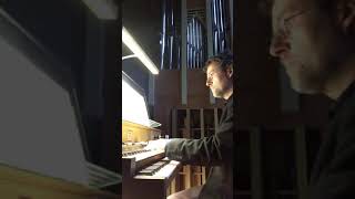 J. S. Bach - Nun komm, der Heiden Heiland (Folkefrelsar, til oss kom), BWV 659 (as an Andante)
