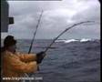 Rough Seas - Tough Tuna (Game Fishing)