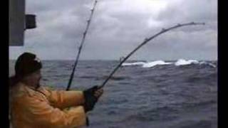 Rough Seas - Tough Tuna (Game Fishing) screenshot 5