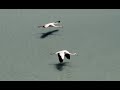 CILE & BOLIVIA VideoDiary 4K