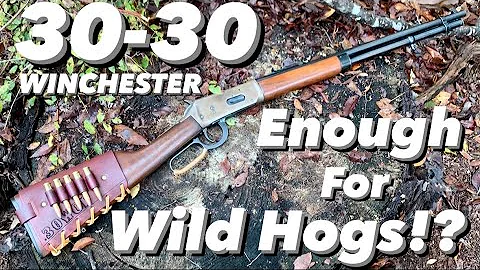 30-30 Winchester: Good For Feral Hog Hunting? (& why Lever Actions are great hog rifles)