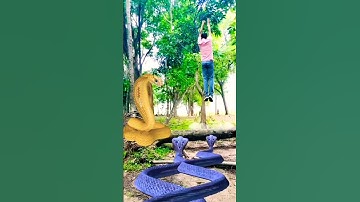 naag nagin ka bhayanak hamla | #snake #nagin #short #shortvideo