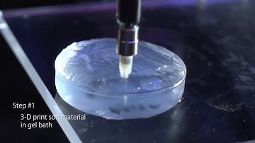 FRESH Bioprinting Process Explained
