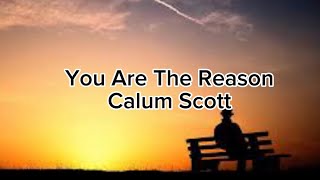 Calum Scott - you are the reason (lyrics)