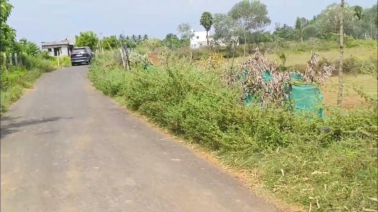 Land For Sale 16 Acres Chengalpattu District 1 Acre Price 25 Lakhs land-for-sale-16-acres-chengalpattu-district-1-acre-price-25-lakhs