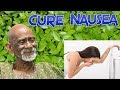 Dr Sebi Natural Herbal Remedy For Nausea And Vomiting