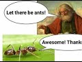 Let There Be Ants