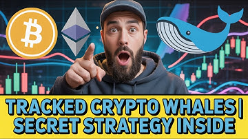 I Tracked Crypto Whale Wallets 🐳 – Found This Strategy That Moves Prices