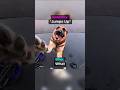 Biker Gets The Cutest Surprise