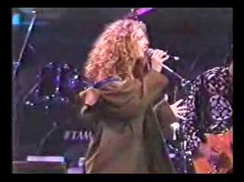 [1992] Bob Dylan Tribute Concert