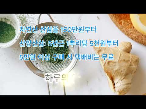 한국심마니 약초  (소공림)