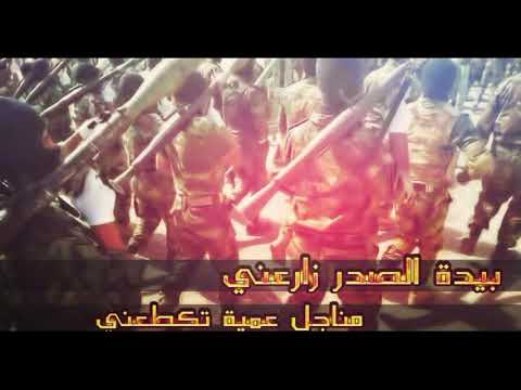 وينه يريد يعادينه قصيده صدريه حماسيه اداء حسين الحجامي