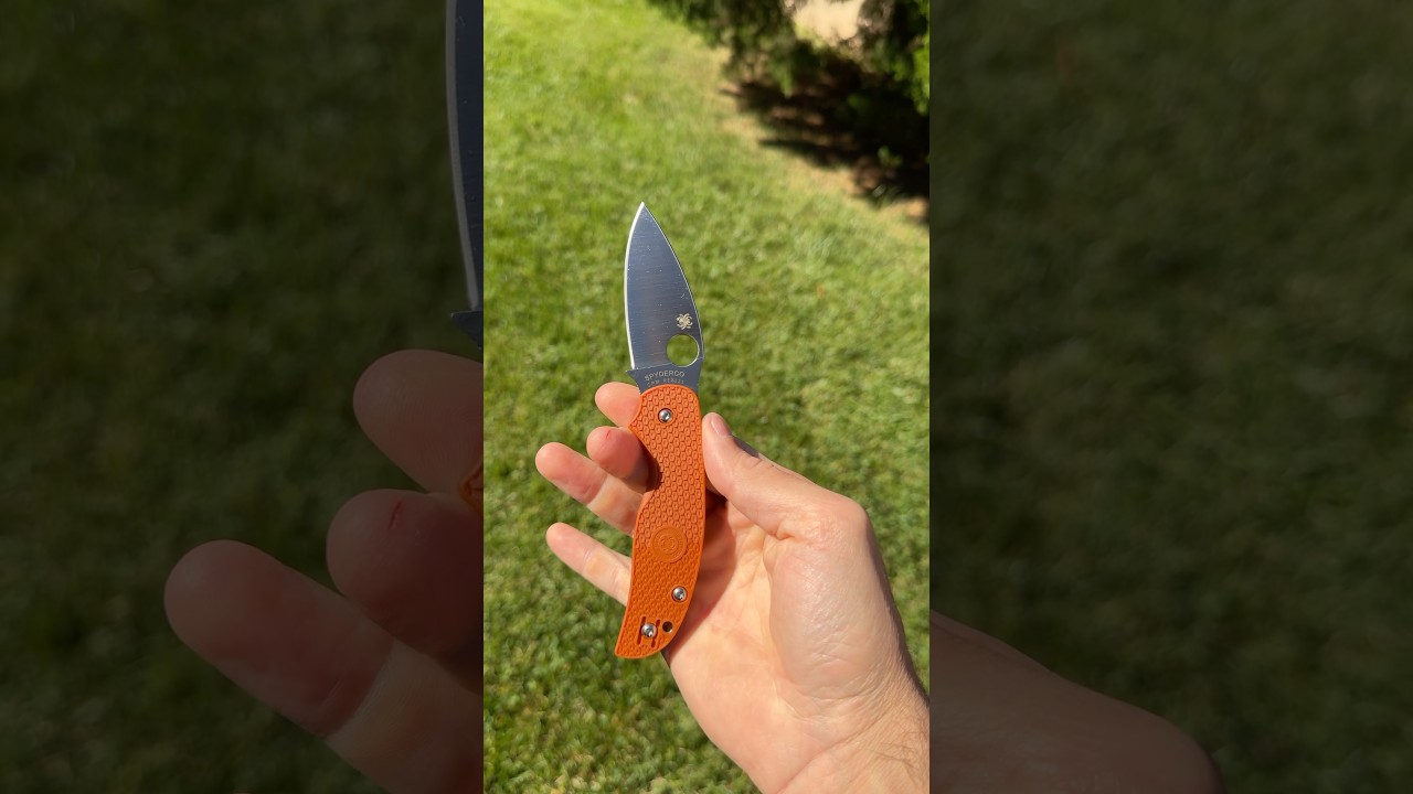 THE LEGENDARY Rex 121 🤯 