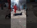 Đánh pháo hoàn trại hòm chín hưng phần 1(ngã tư chủ chí)