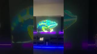 CHANGE! coming soon new SFEG Transparent FLEX soon all this on a much BIGGER PICTURE!