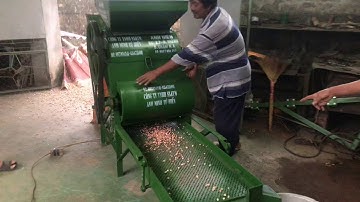 Máy bóc vỏ lạc giống gieo trồng 5/1 đi gia lai phân loại Lạc to nhỏ các loại