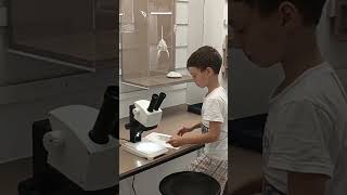 лаборатория для всех в музее # Labor für alles im Museum #laboratory for all in the museum