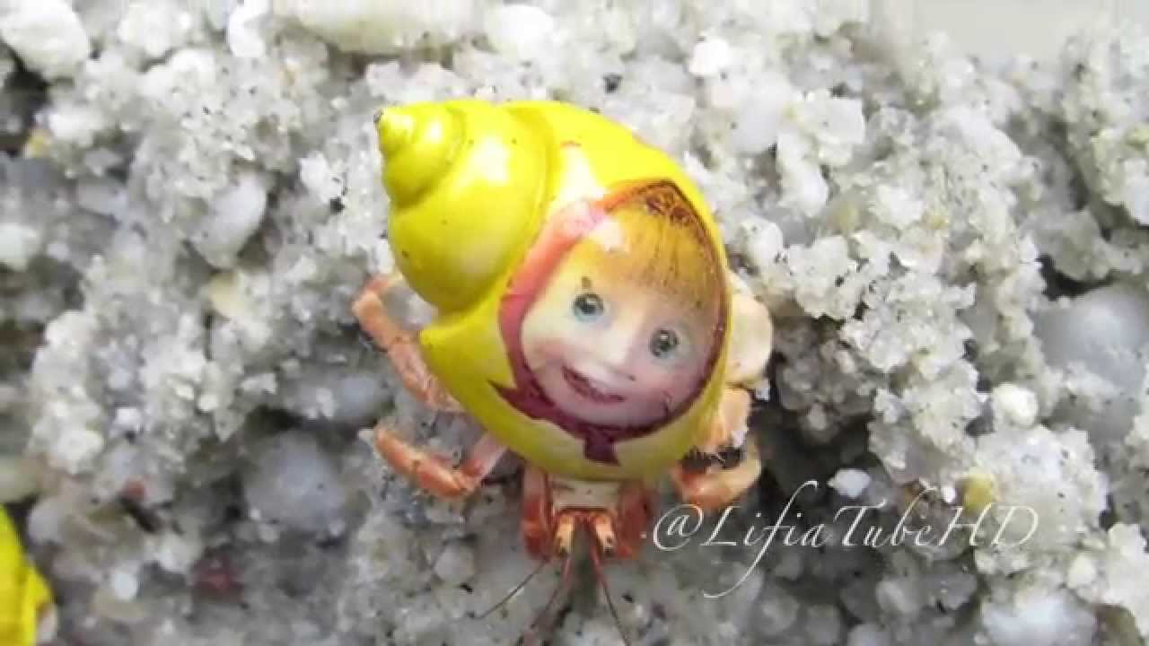Mainan Anak Anak Umang umang (Hermit Crab) bergambar Hello