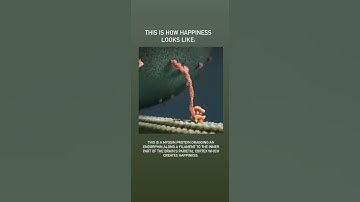 What happiness looks like. Myosin protein dragging an endorphin to the brains parietal cortex.