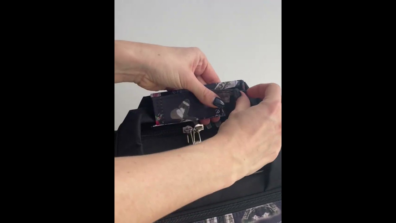 Обзор модели:  дорожная ручная кладь в самолет победа, дизайн Париж 