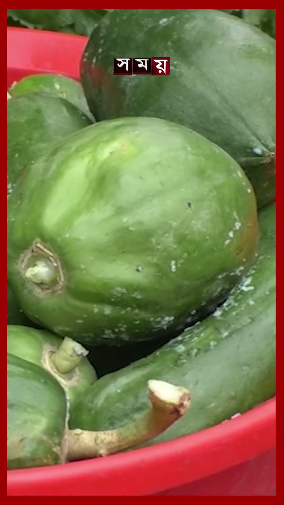 মুন্সীগঞ্জে বেড়েছে শীতকালীন সবজির সরবরাহ, কমেছে দাম #munshiganj #vegetablemarket #bazarprice #shorts