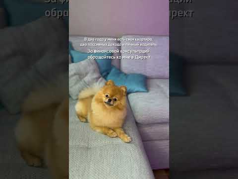 Больше про ведение блога, SMM и жизнь фрилансера рассказываю на своем канале. Подписывайся!