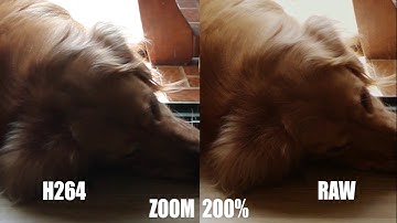 Magic Lantern RAW video on Canon 500D, as opposed to default video