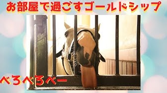 ゴールドシップ Youtube