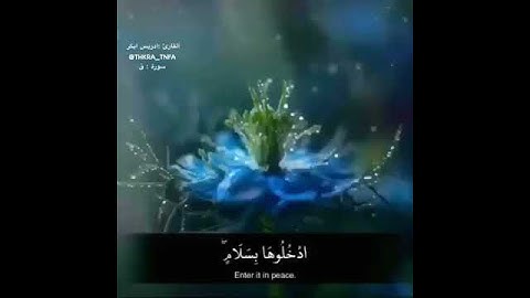 هذا الشيخ في صوته خشوع لا يوصف .. ما تيسر من سورة ق