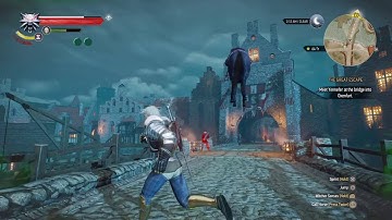 The Witcher 3 roach glitch