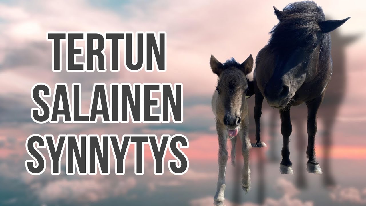 Tertun varsapäiväkirja 💞