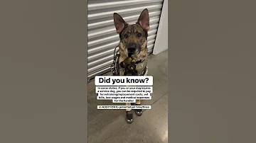 Some States Really Protect Us Cardiacalertdog Seizurealertdog Migrainealertdog Workingdog 