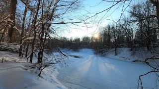 Зимний лес 🌳#русская#зима#природа#рыбалка