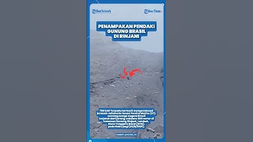 PENDAKI GUNUNG ASAL BRASIL SEBELUM DIEVAKUASI PASCA TERJATUH DI GUNUNG RINJANI