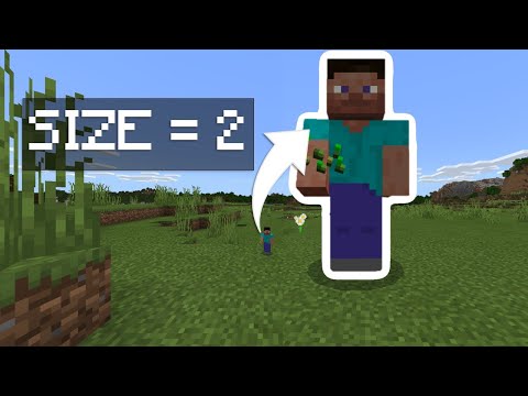 Vidéo: Comment Grandir Dans Minecraft