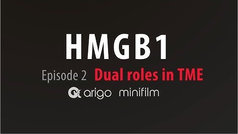 Dual roles of HMGB1 in TME - arigo minifilm