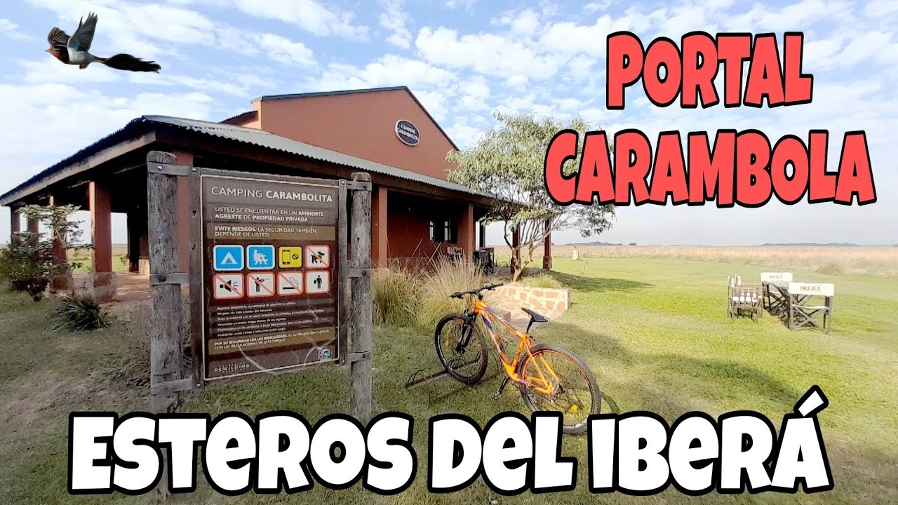Знаете ли вы портал КАРАМБОЛА в водно-болотных угодьях Иберы?